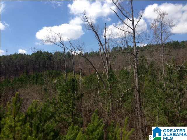 120 Chesser Loop Road Chelsea, AL 35043 - Photo 14 of 22 Gallery Image 14