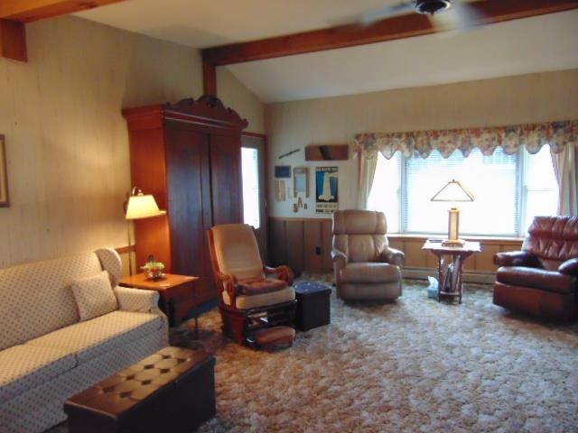 445 South Ithaca Street Ithaca, MI 48847 - Photo 19 of 83 1920553-0bfed09e-479d-4e3d-bb01-88e7237dc25d.JPG