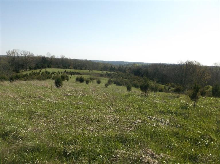 132 Mann Road Mount Olivet, KY 41064 - Photo 9 of 17 Gallery Image 9
