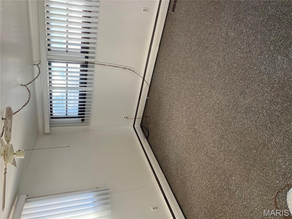 905 Dean Street Wilsonville, IL 62093 - Photo 10 of 23