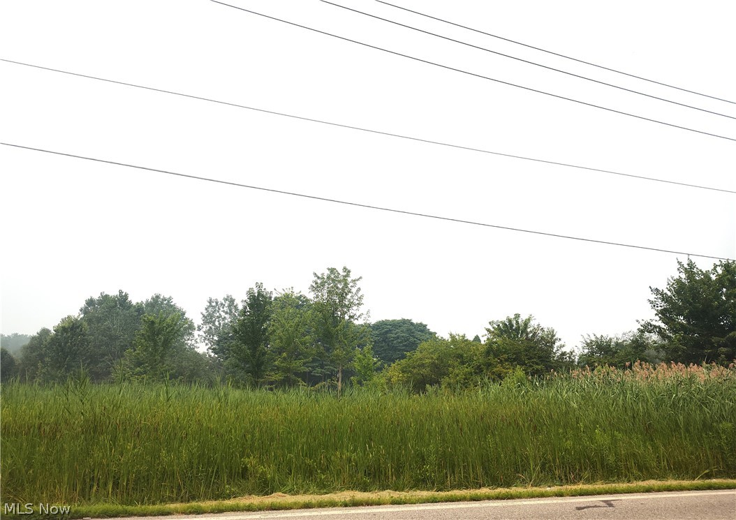 Vl McMackin Road Madison, OH 44057 - Photo 2 of 5 Gallery Image 2