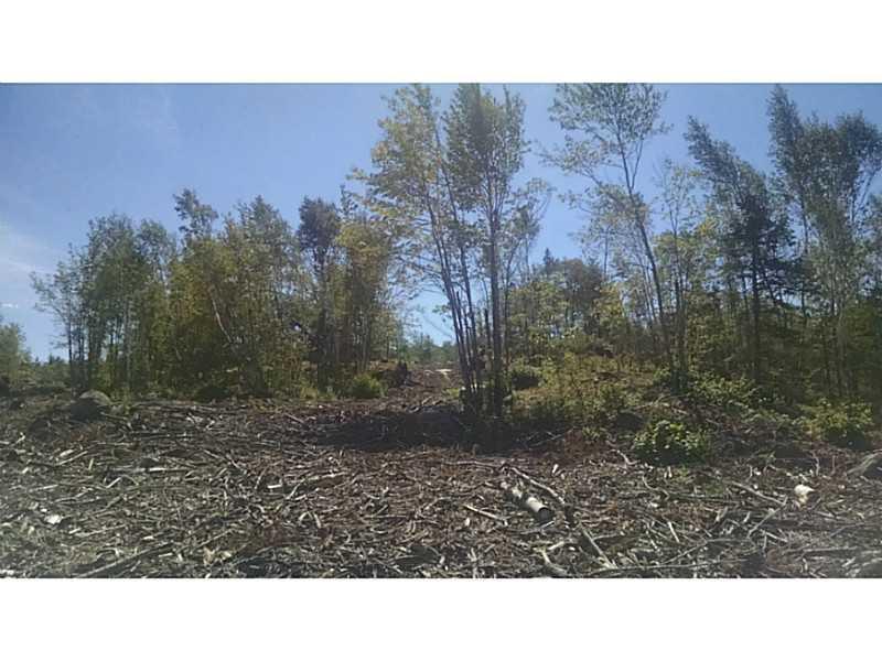 Lot 20 Lane Road Cherryfield, ME 04622 - Photo 6 of 8 Land/Lot.