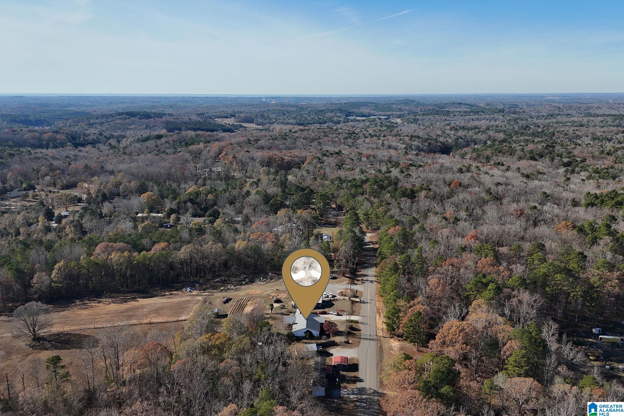 14365 Wire Road Cottondale, AL 35453 - Photo 41 of 46