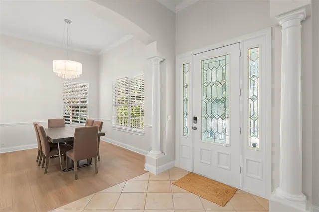 a living room with furniture a potted plant and a ceiling fan