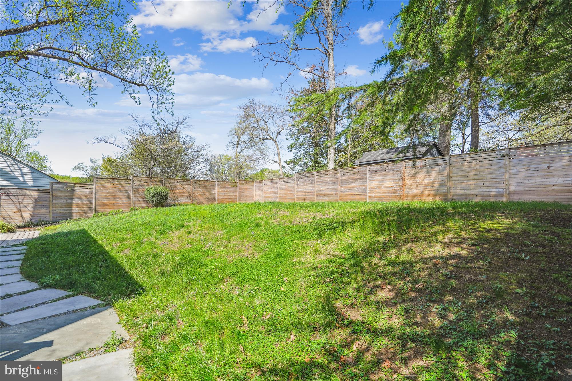 10115 Tenbrook Drive Silver Spring, MD 20901 - Photo 32 of 53 a view of yard with grass and trees