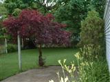 2649 Liberty Road Muskegon, MI 49441 - Photo 12 of 12 Additional Photo