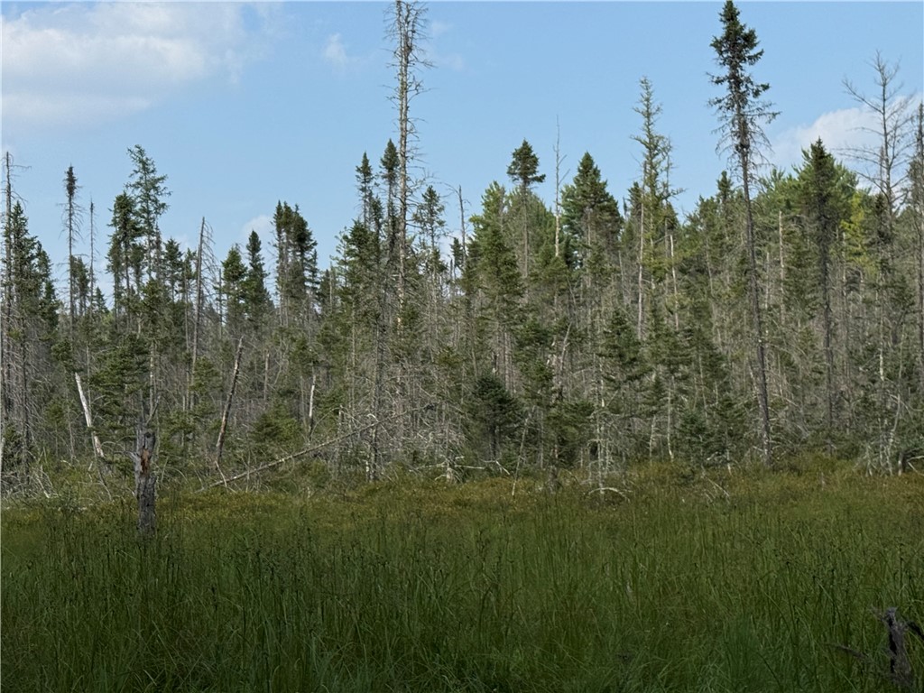 0 Tagalder Trail Hayward, WI 54843 - Photo 9 of 23