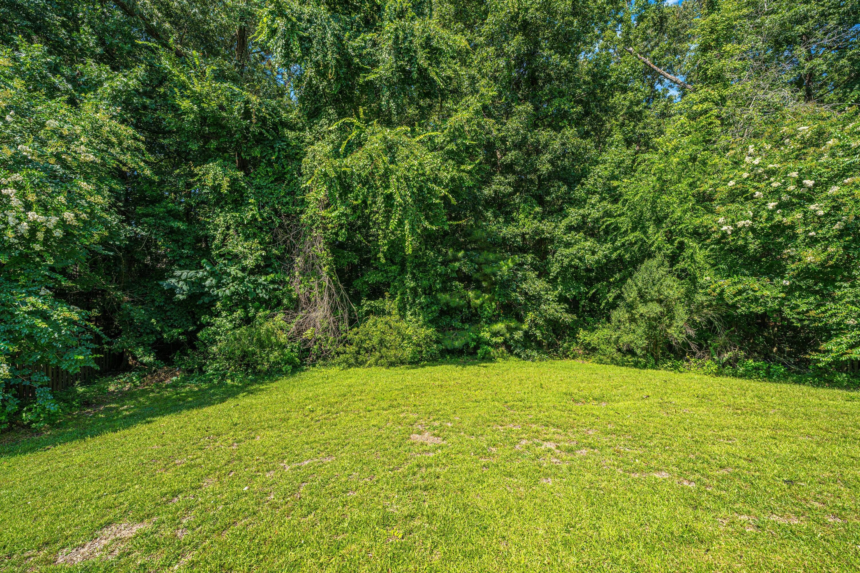 142 Avalon Road Summerville, SC 29483 - Photo 29 of 31 142Avalon038
