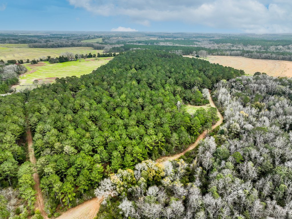 0 Double Creek Road Coffee Springs, AL 36318 - Photo 8 of 24