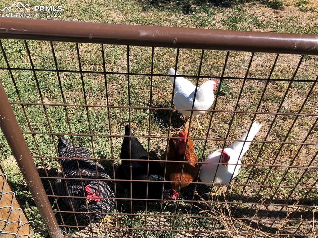 732 South Chestnut Street Elizabeth, CO 80107 - Photo 3 of 26 a view of a balcony