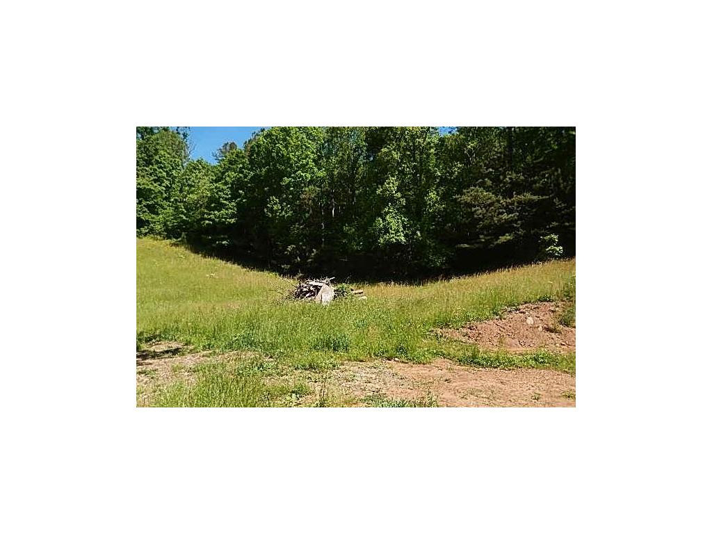 120 Bart Smith Road Hampton, TN 37658 - Photo 4 of 8 Photo 4