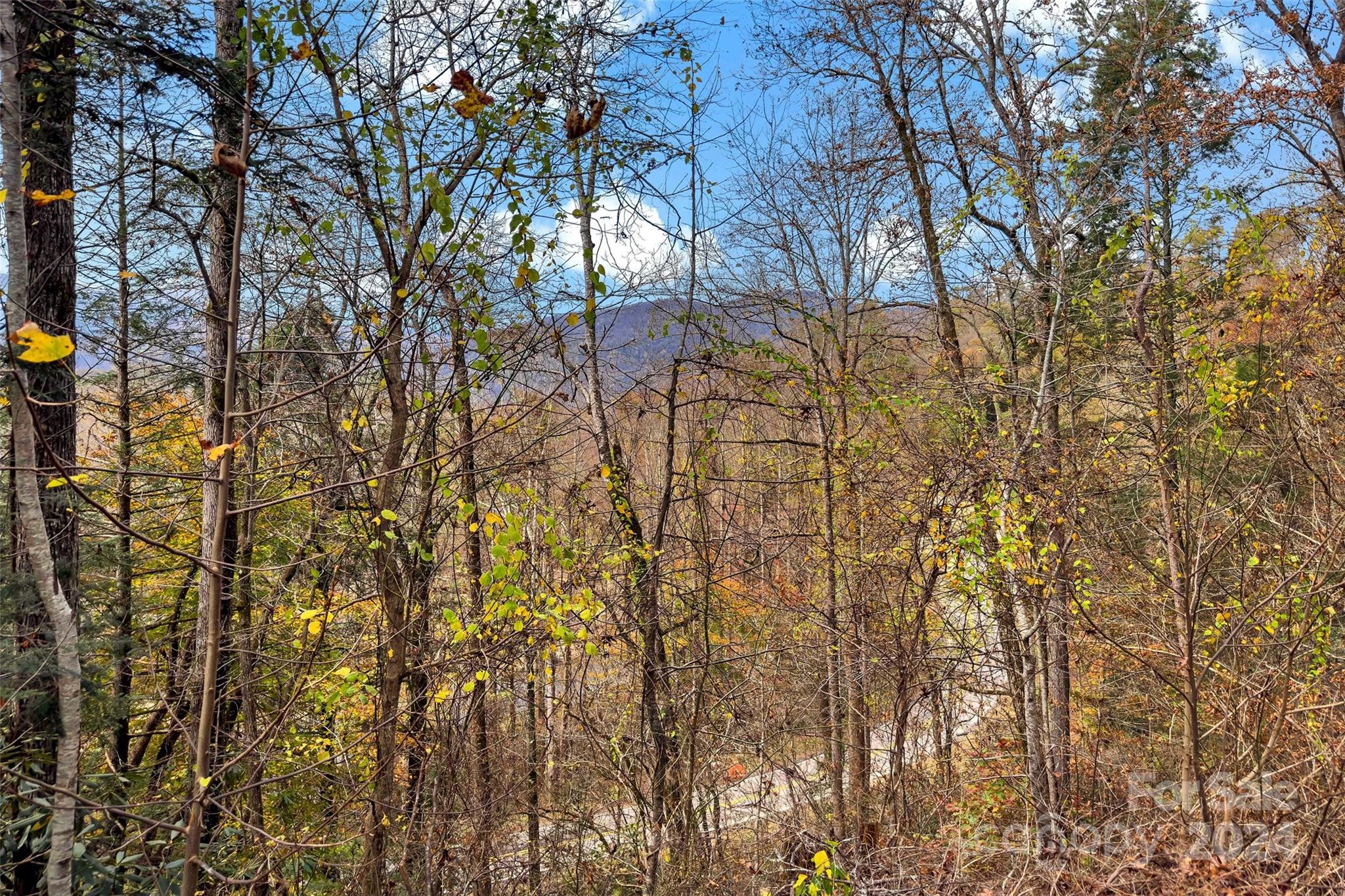 813 Henry Mc Call Road Marion, NC 28752 - Photo 14 of 30 Gallery Image 14