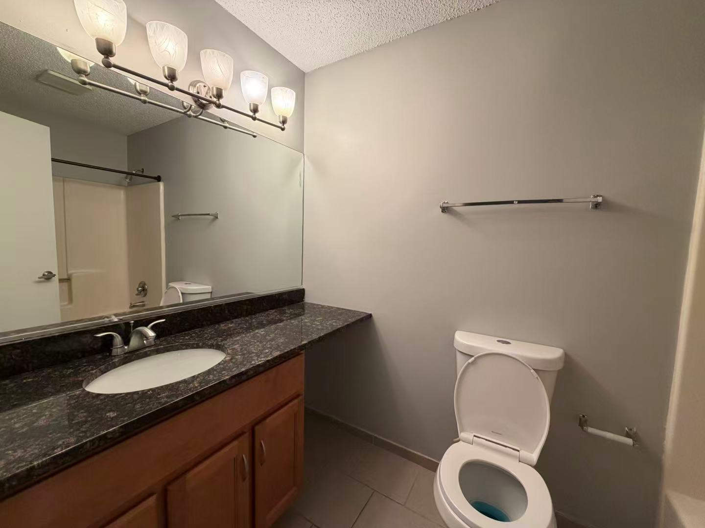 1360 Brook Street, Unit F St. Charles, IL 60174 - Photo 13 of 18 a bathroom with a granite countertop toilet sink and mirror