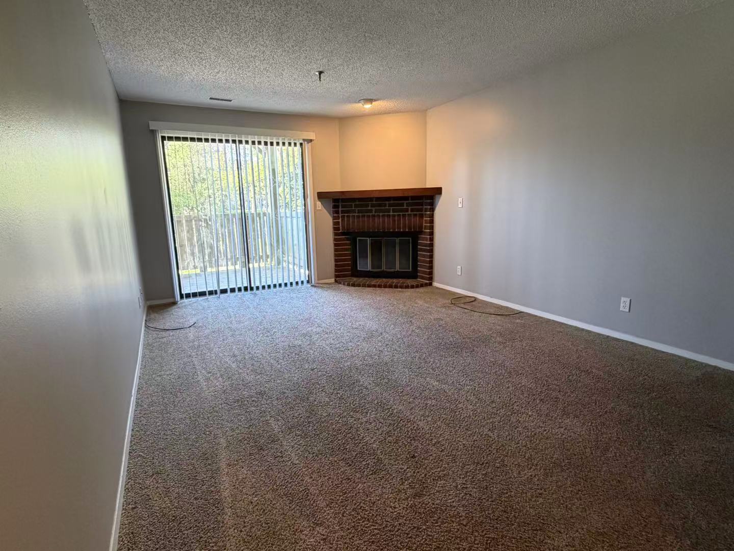 1360 Brook Street, Unit F St. Charles, IL 60174 - Photo 5 of 18 a view of an empty room with a fireplace and a window