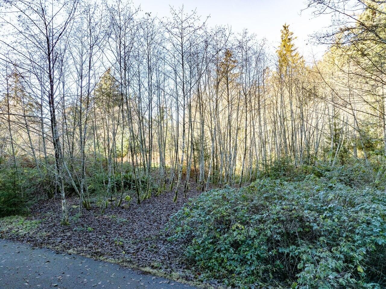 Lot 68 Bay View Road Astoria, OR 97103 - Photo 15 of 40 Karlah Neh Pt lot 2