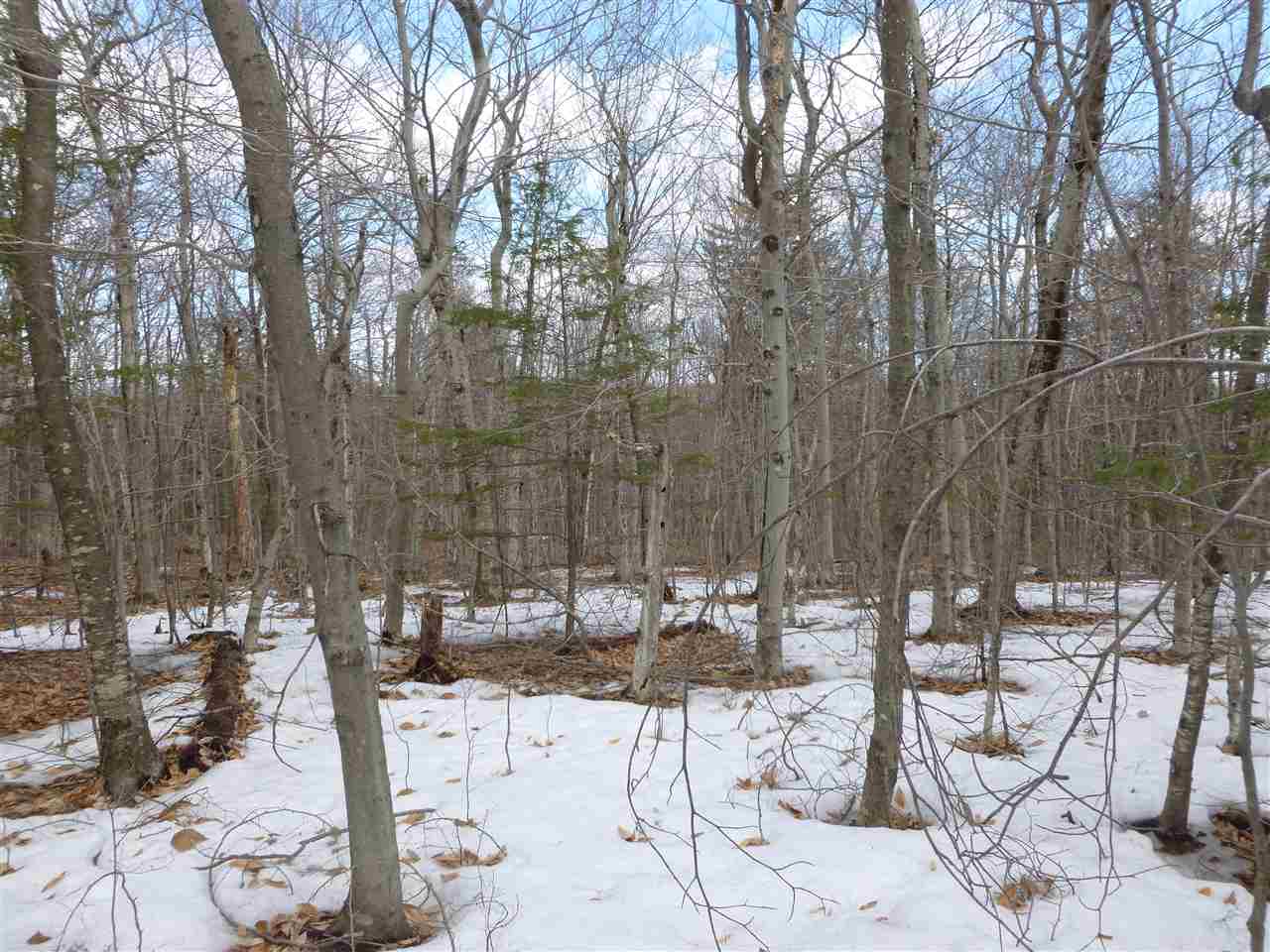 Lot 32 Ragged Mountain Road New Durham, NH 03855 - Photo 2 of 8