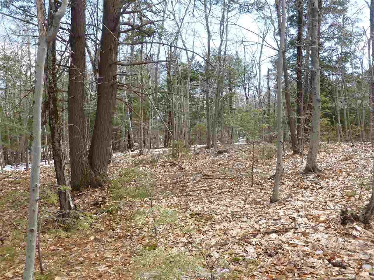 Lot 32 Ragged Mountain Road New Durham, NH 03855 - Photo 3 of 8