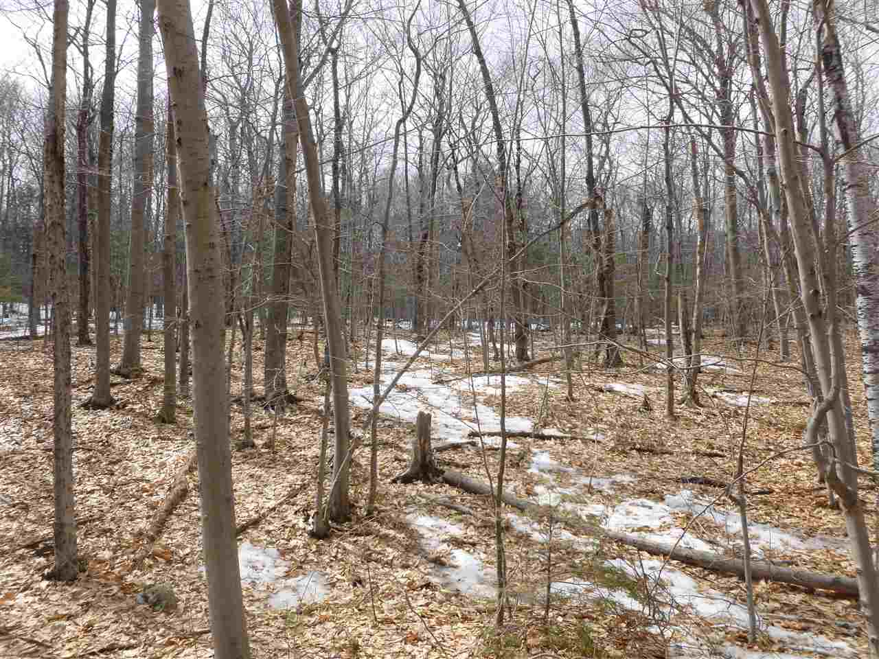 Lot 32 Ragged Mountain Road New Durham, NH 03855 - Photo 4 of 8