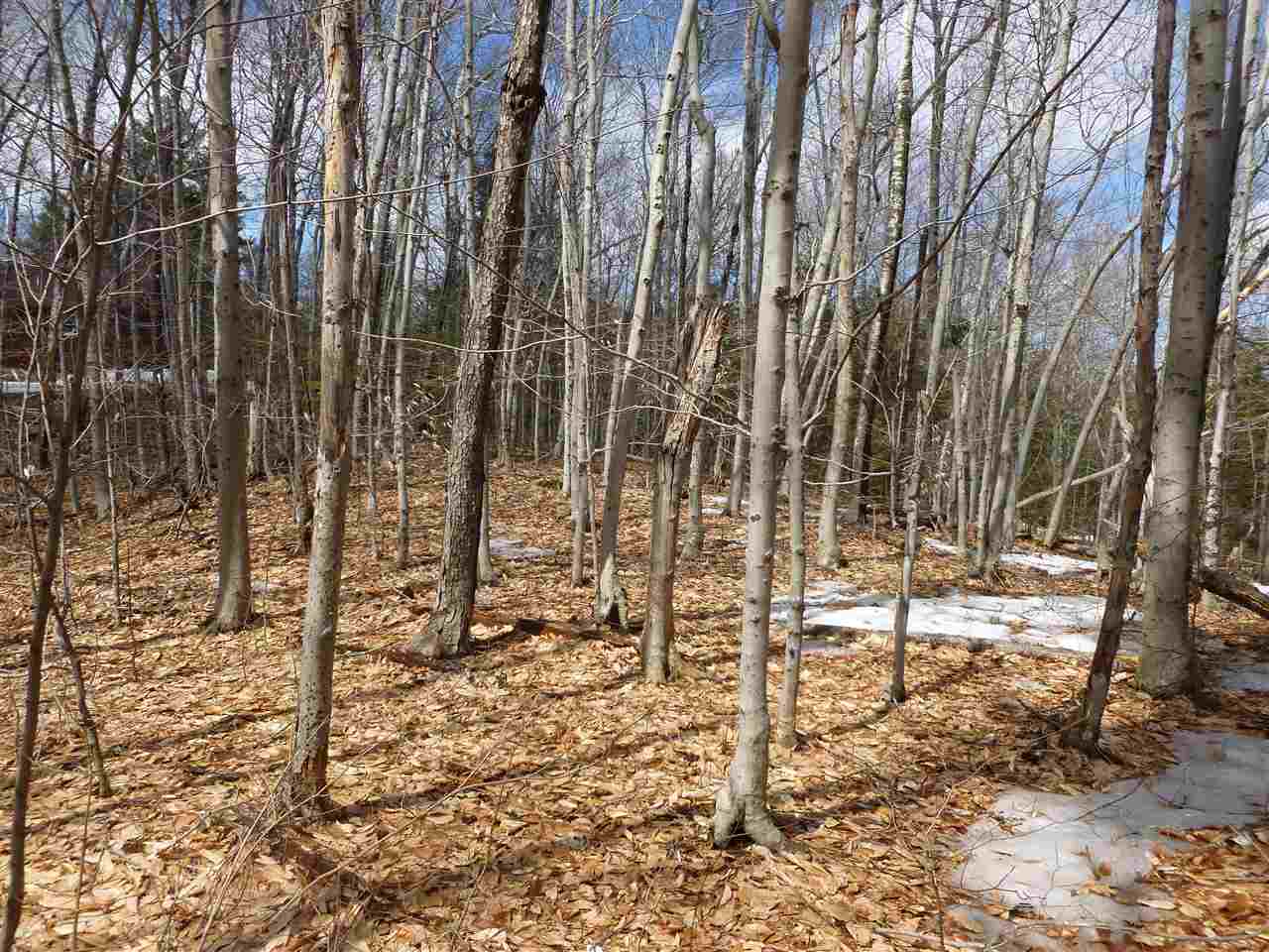 Lot 32 Ragged Mountain Road New Durham, NH 03855 - Photo 5 of 8