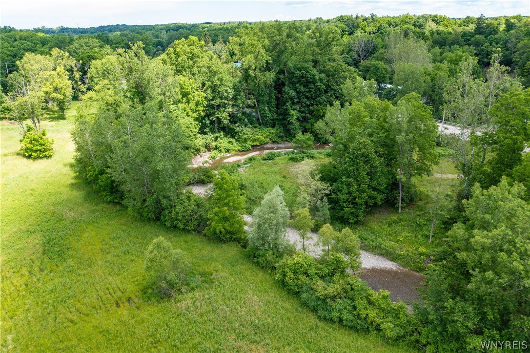 Richardson Road Collins, NY 14034 - Photo 8 of 12