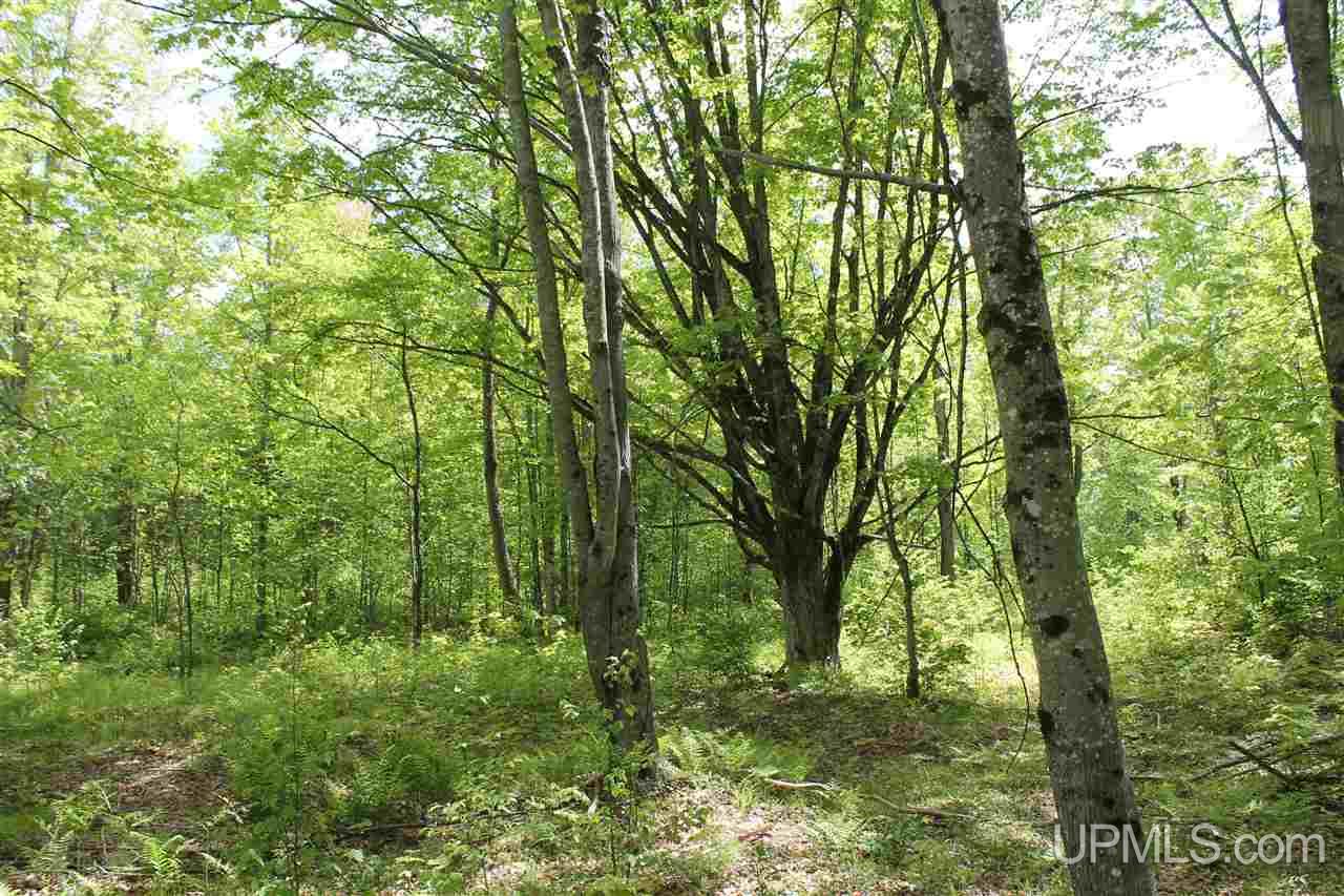 Tbd Off Kyllonen Road, Unit LAT 46 75685 LON 88 7526 Nisula, MI 49952 - Photo 9 of 24