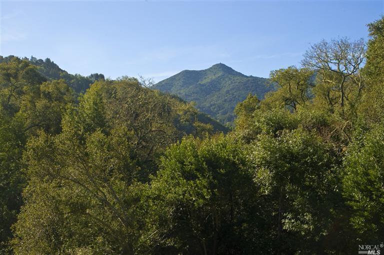20 Upper Road Ross, CA 94957 - Photo 1 of 1 a view of a large mountains with a mountain in the background