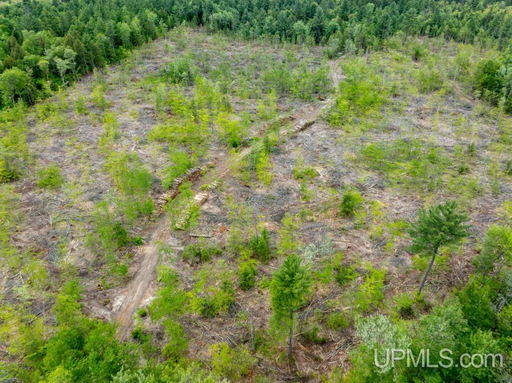Tbd Off Co Rd 450 Road Seney, MI 49883 - Photo 9 of 13