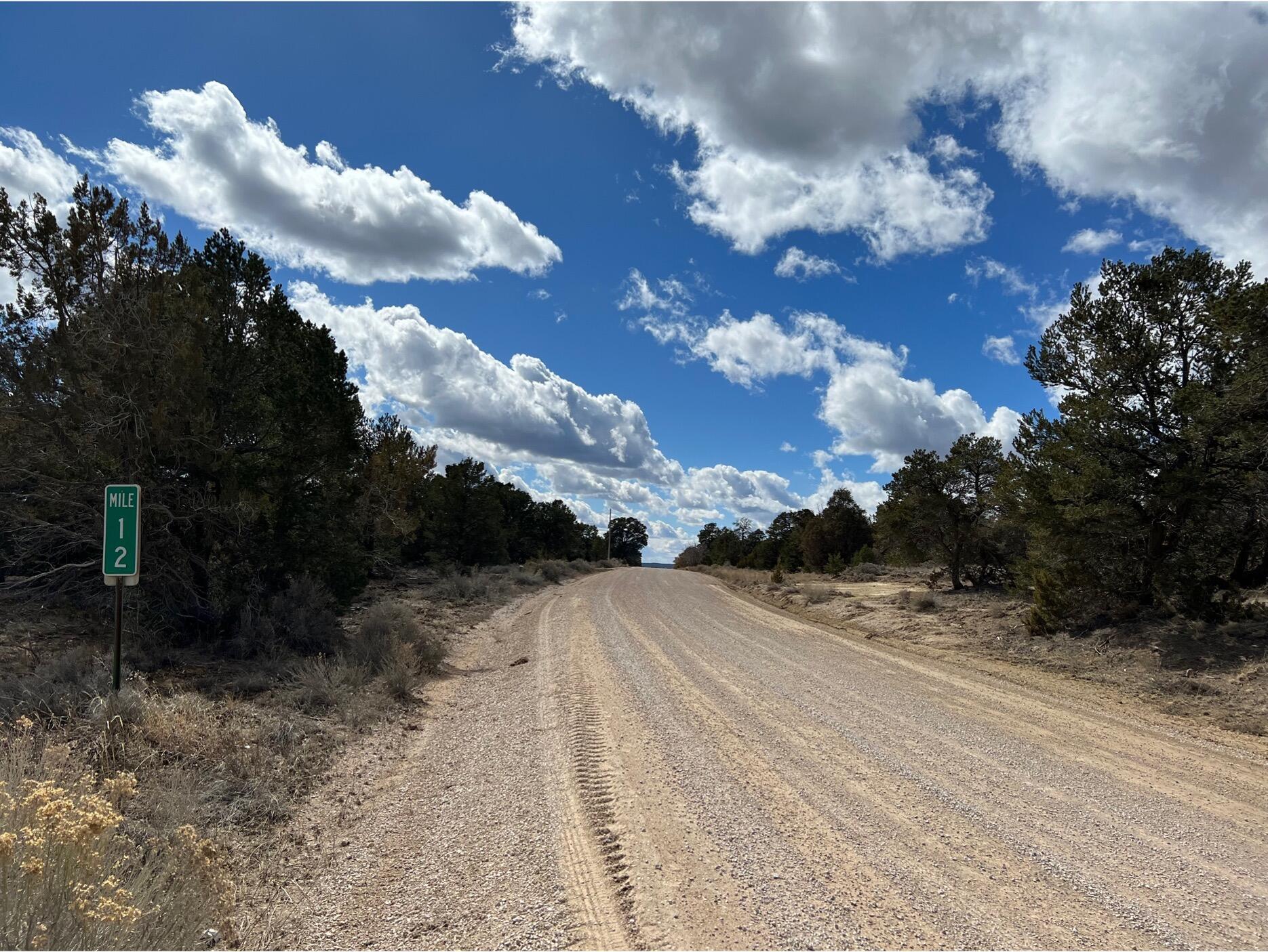 Lot 14 Candy Kitchen Road Ramah, NM 87357 - Photo 4 of 41 Gallery Image 4