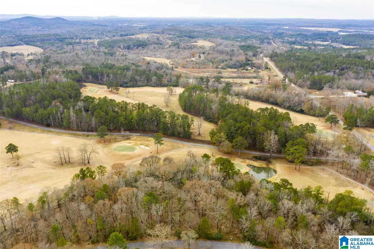 0 Constellation Avenue, Unit 1 Alpine, AL 35014 - Photo 2 of 34