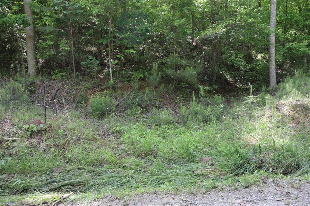 0 Parksbrook Road Ellijay, GA 30540 - Photo 13 of 22 a view of a lush green forest