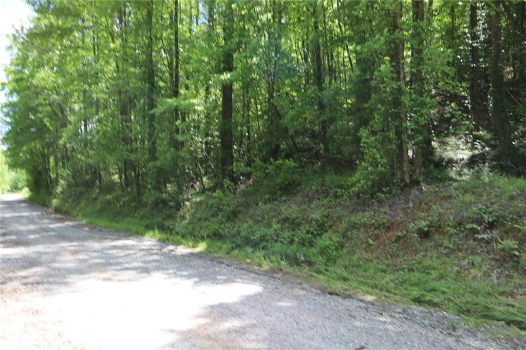 0 Parksbrook Road Ellijay, GA 30540 - Photo 14 of 22 a view of a yard with large trees