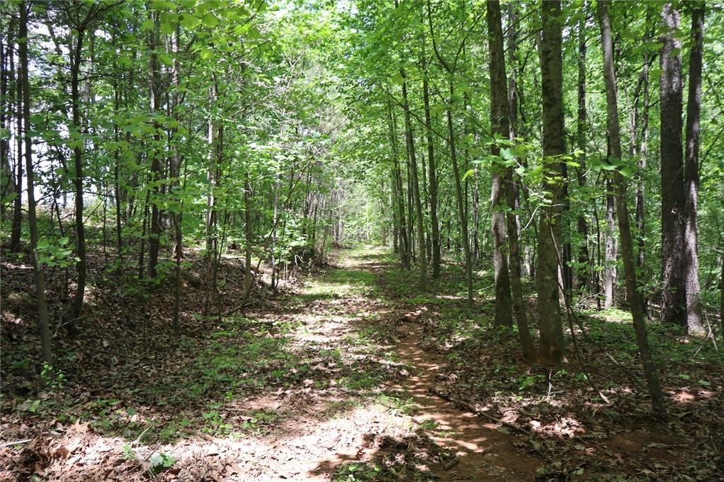 0 Parksbrook Road Ellijay, GA 30540 - Photo 17 of 22 a view of outdoor space and green space