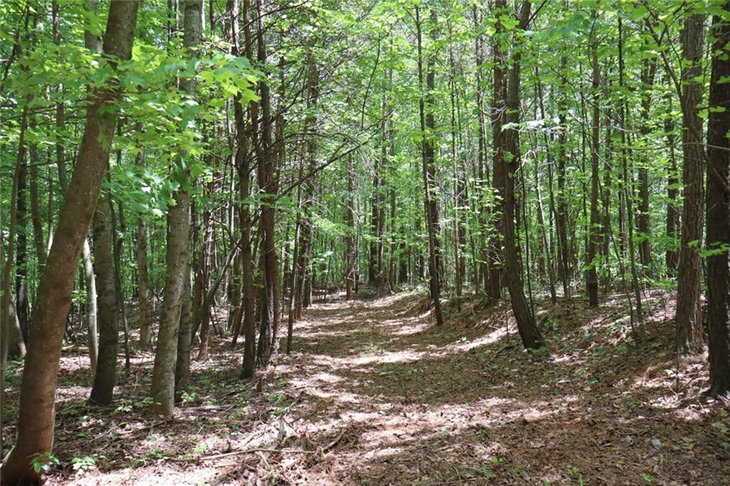 0 Parksbrook Road Ellijay, GA 30540 - Photo 18 of 22 a view of outdoor space and trees