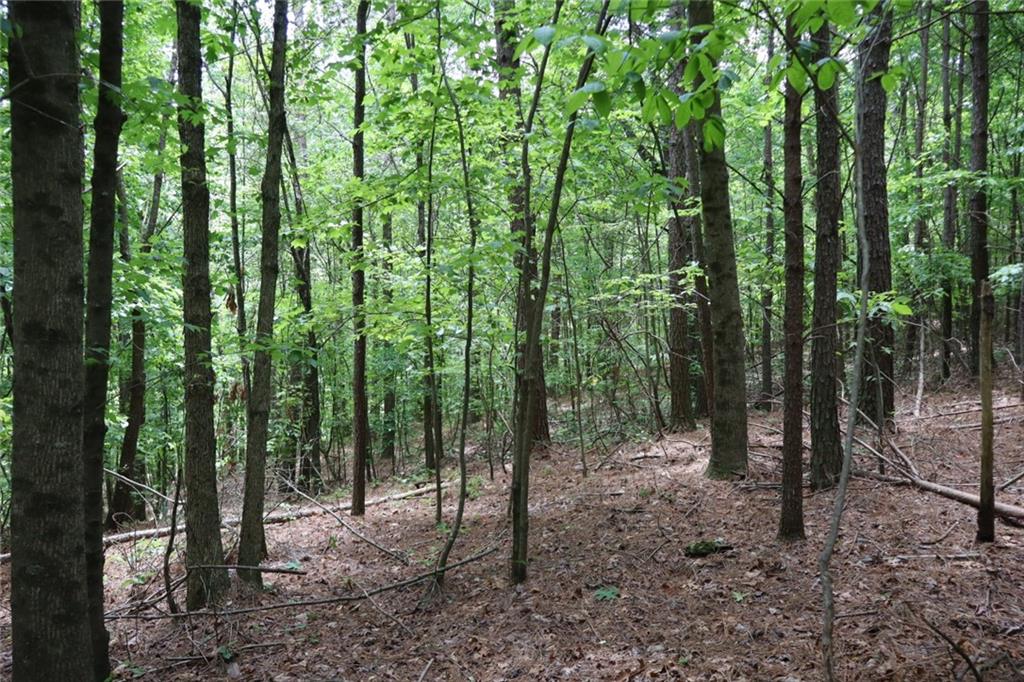 0 Parksbrook Road Ellijay, GA 30540 - Photo 20 of 22 a view of outdoor space and trees
