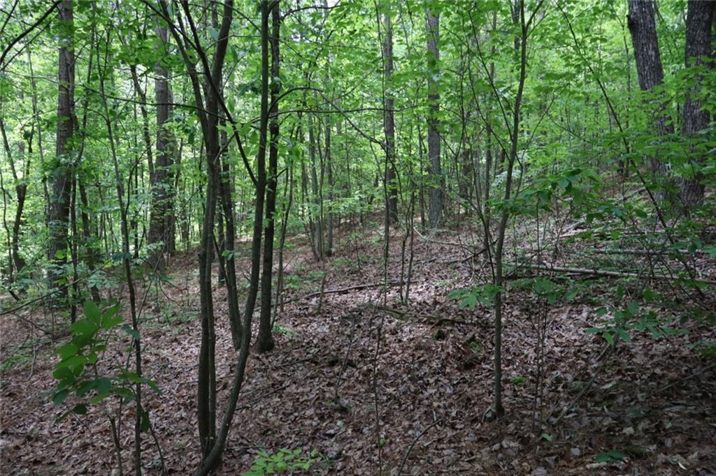 0 Parksbrook Road Ellijay, GA 30540 - Photo 22 of 22 a view of a forest view