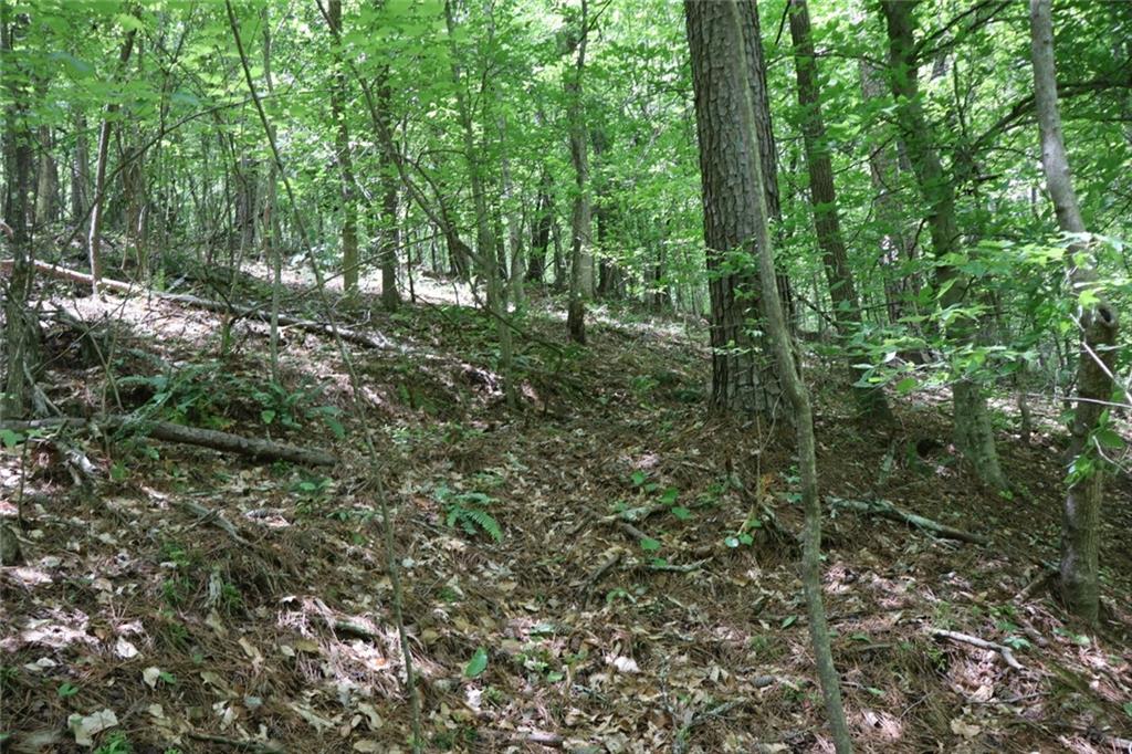 0 Parksbrook Road Ellijay, GA 30540 - Photo 10 of 22 a view of forest