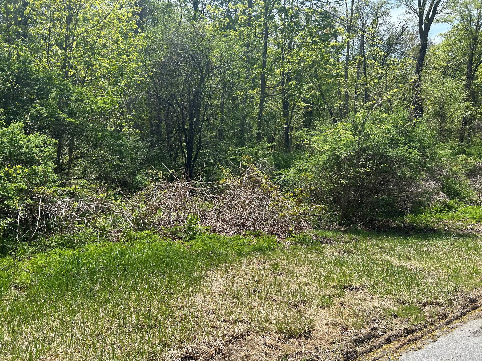 19 South Cross Road Hyde Park, NY 12580 - Photo 2 of 7 a view of a lush green forest