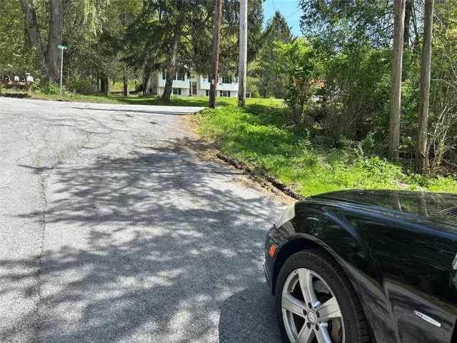 a view of backyard with tree