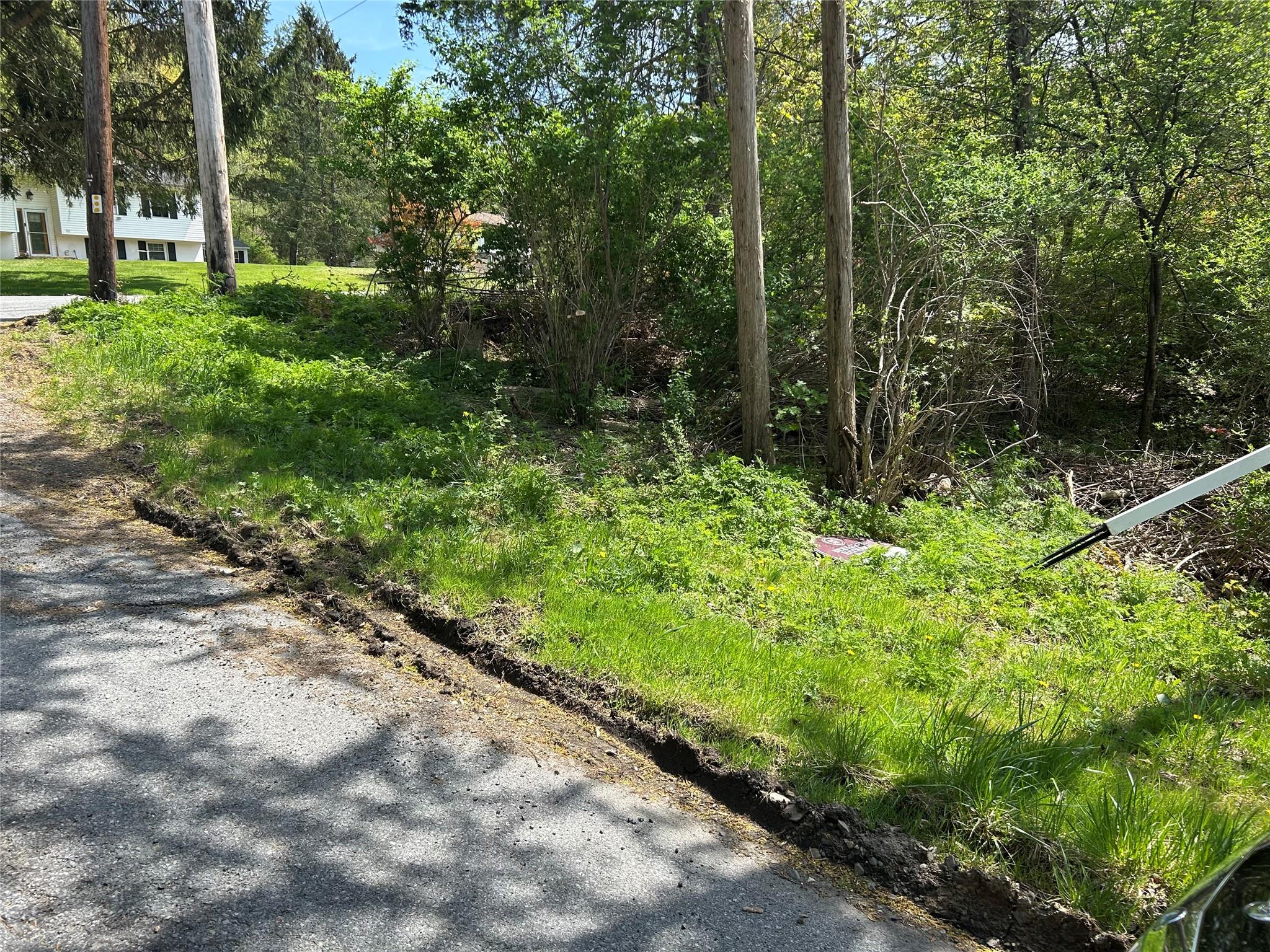 19 South Cross Road Hyde Park, NY 12580 - Photo 4 of 7 a view of a garden with trees