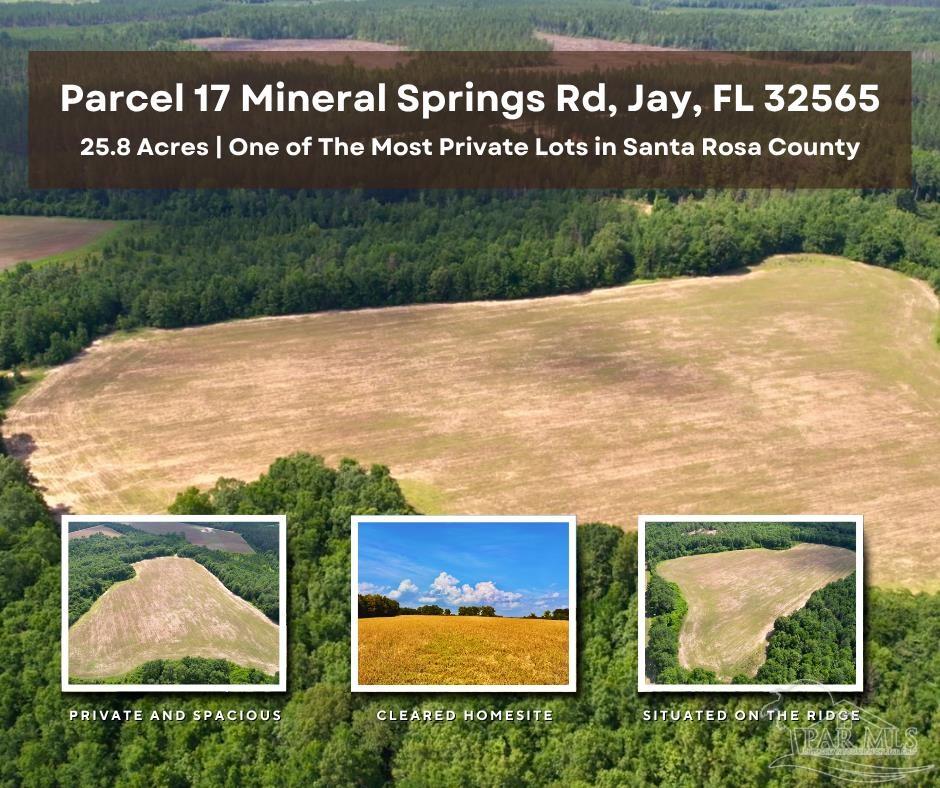 17 Mineral Springs Road Jay, FL 32565 - Photo 1 of 24