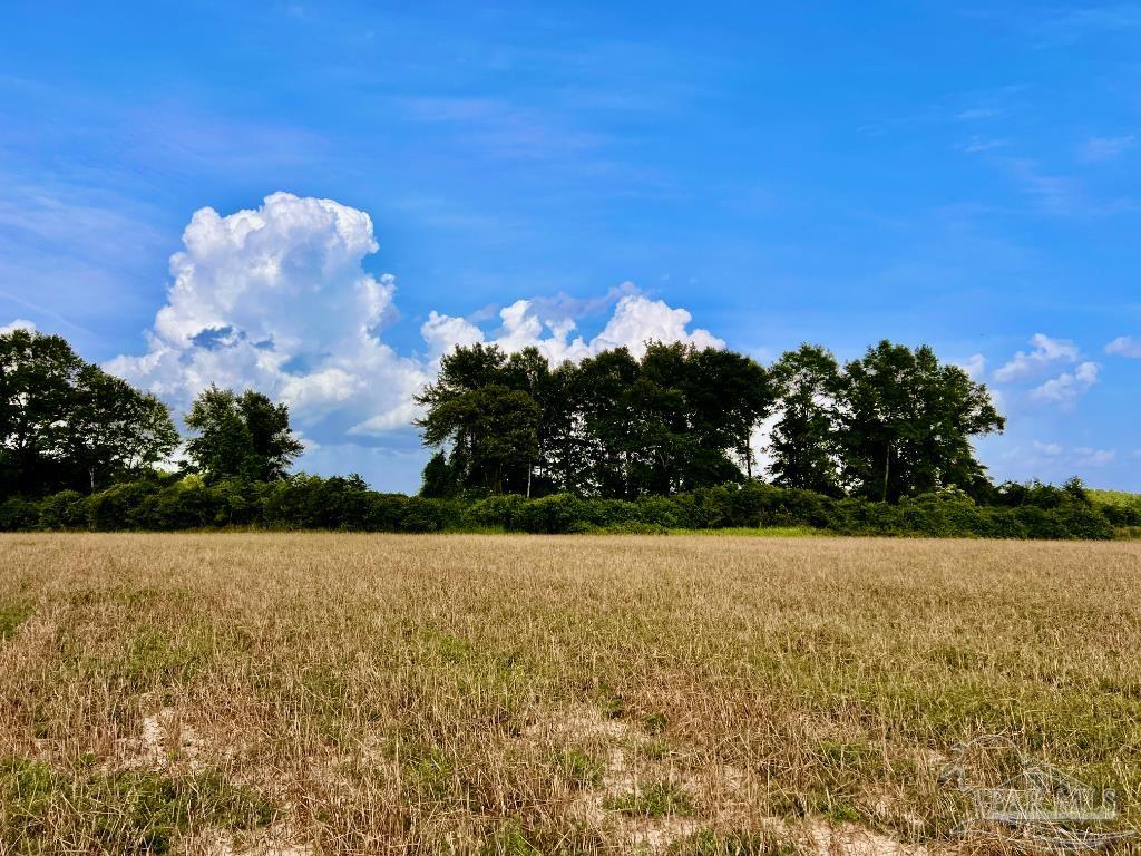 17 Mineral Springs Road Jay, FL 32565 - Photo 11 of 24