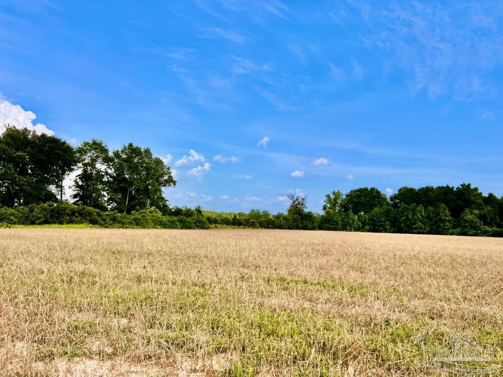 17 Mineral Springs Road Jay, FL 32565 - Photo 12 of 24