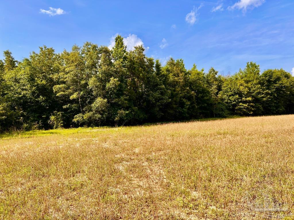 17 Mineral Springs Road Jay, FL 32565 - Photo 13 of 24