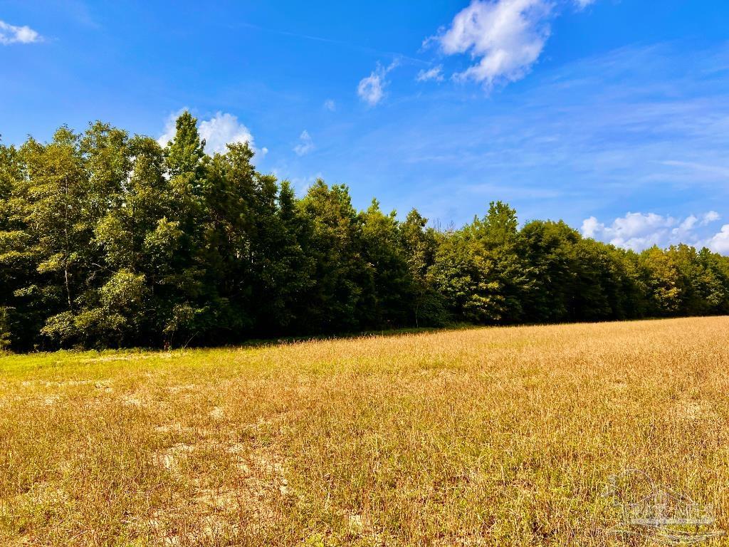 17 Mineral Springs Road Jay, FL 32565 - Photo 14 of 24