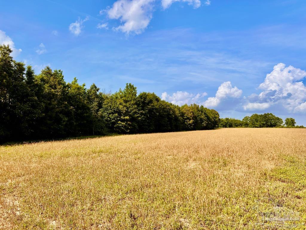 17 Mineral Springs Road Jay, FL 32565 - Photo 15 of 24