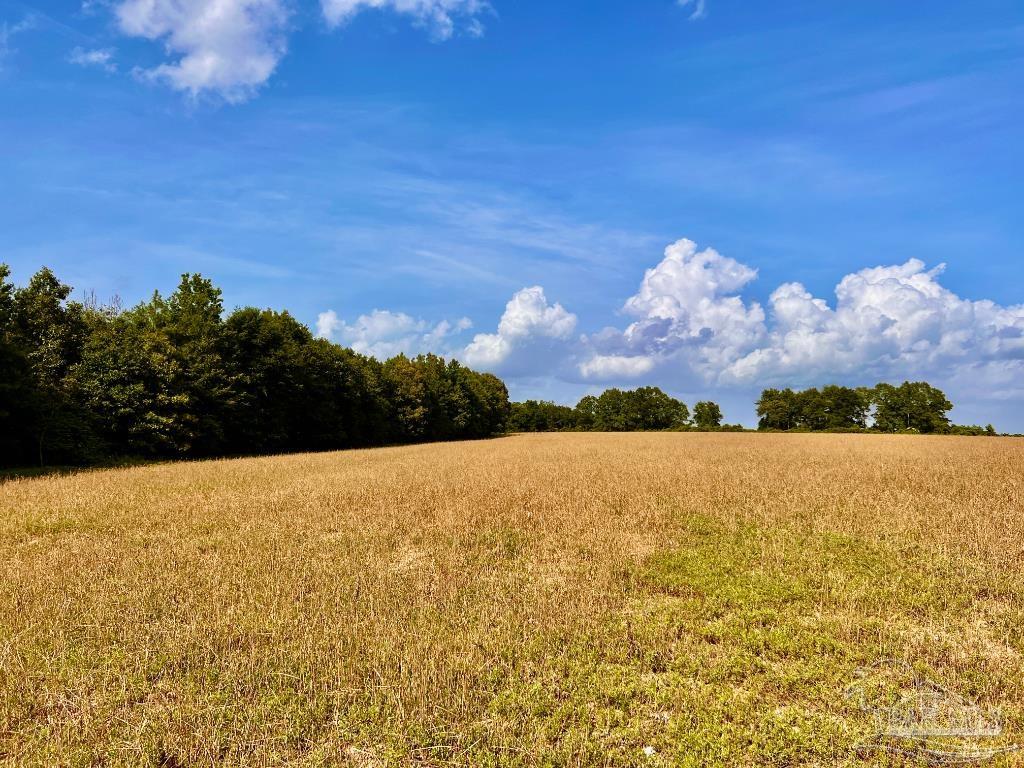 17 Mineral Springs Road Jay, FL 32565 - Photo 16 of 24