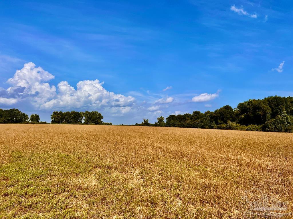17 Mineral Springs Road Jay, FL 32565 - Photo 18 of 24