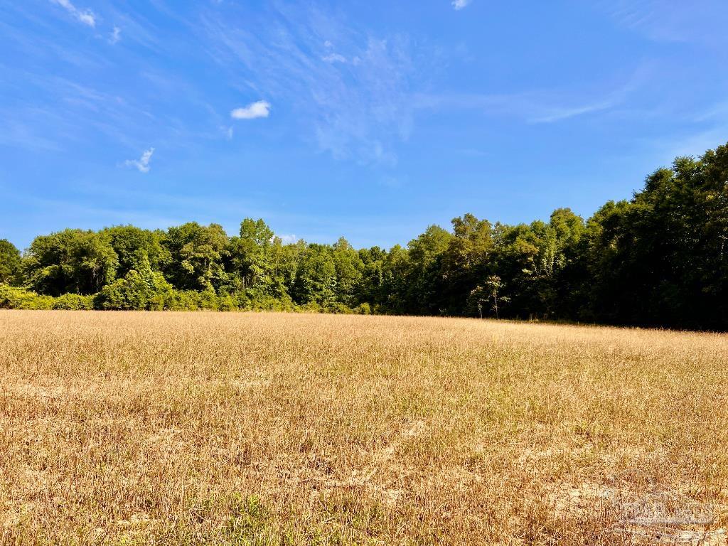 17 Mineral Springs Road Jay, FL 32565 - Photo 20 of 24