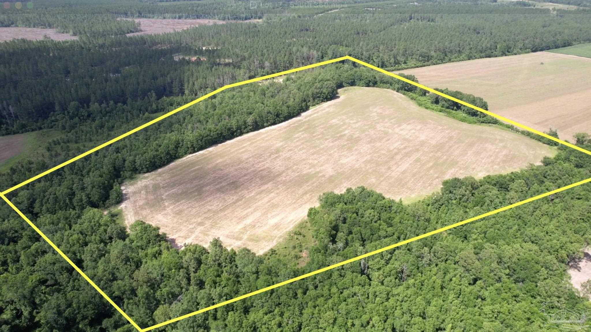 17 Mineral Springs Road Jay, FL 32565 - Photo 2 of 24