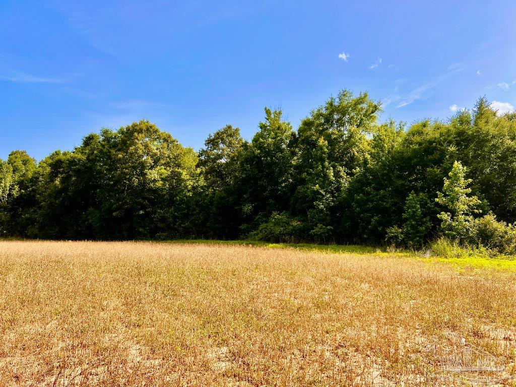 17 Mineral Springs Road Jay, FL 32565 - Photo 21 of 24